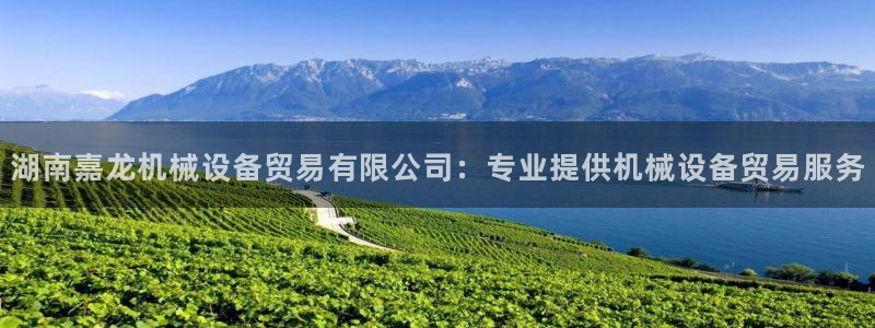 九游会游戏官网网页版