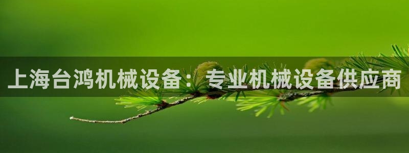 ag8亚洲九游会