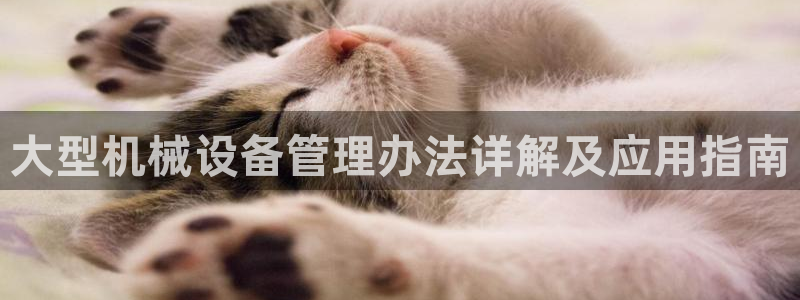 九游会平台ag