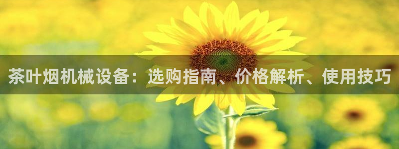 九游会官网入口ag亚洲