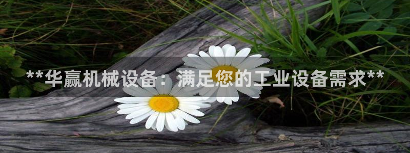 九游会登陆网址