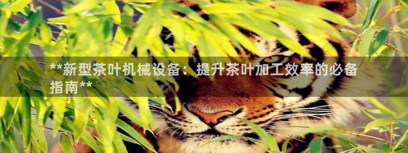 九游会网址登陆