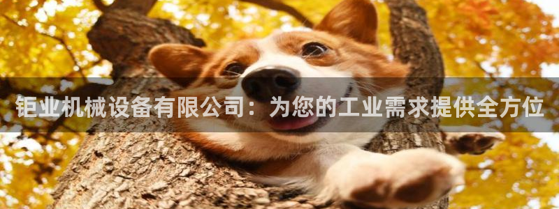 九游会官网登入