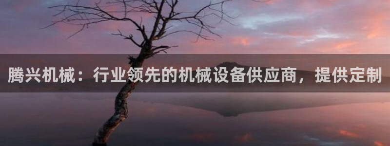 九游会中国入口