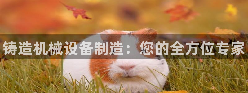 九游会官网入口ag亚洲