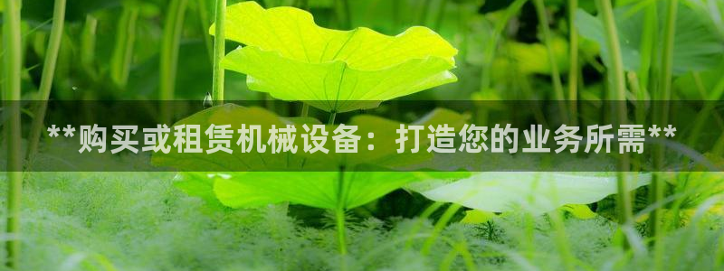 九游会网站打不开了