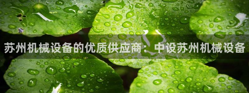 九游会大家觉得怎么样