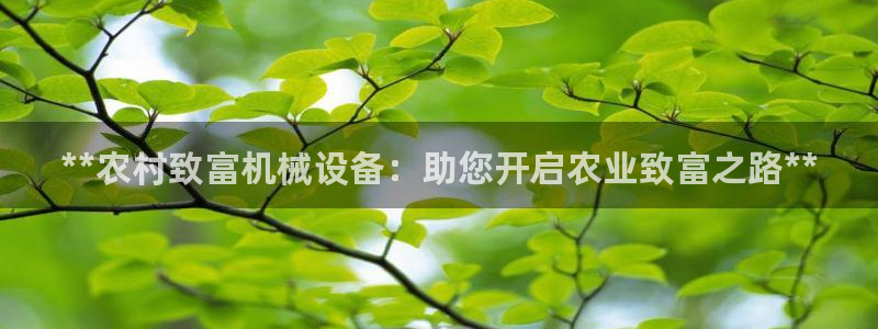 j9九游会最新版