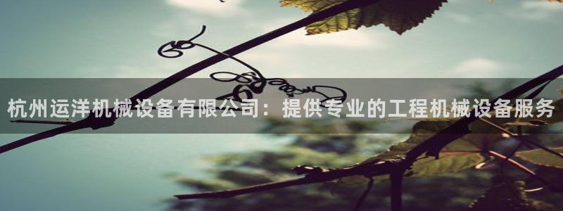 九游会国际站