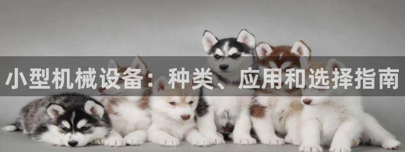 ag改九游会