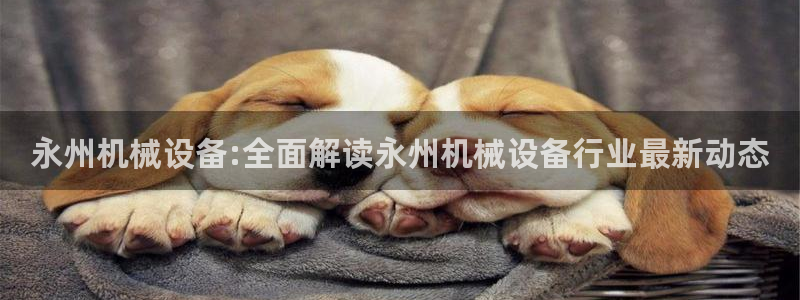 九游会官方视讯