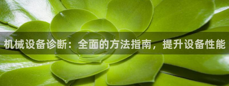 九游会官网j9
