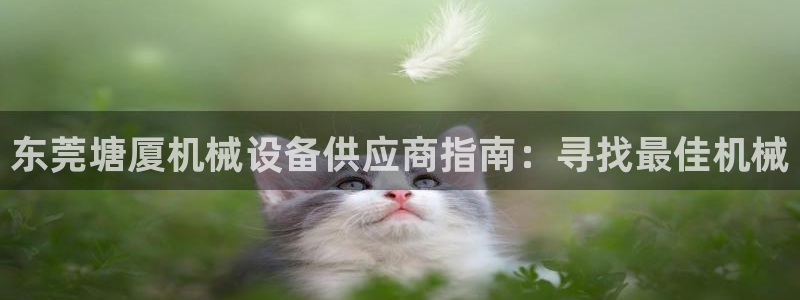 九游会在