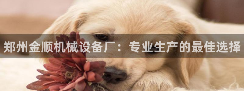 9游会旗舰