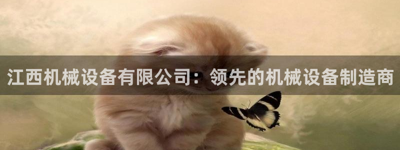 ag老帅百度百科