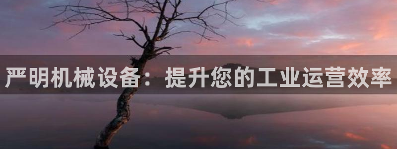 九游会平台网址