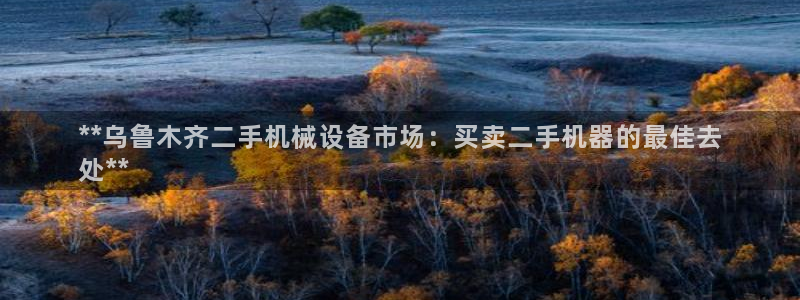 九游会官
