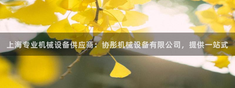 ag8亚洲九游会