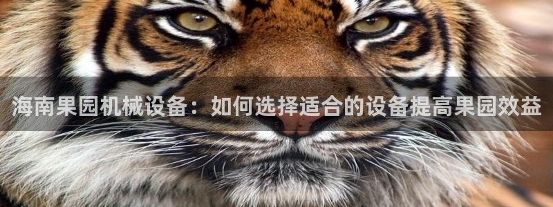 九游会软件