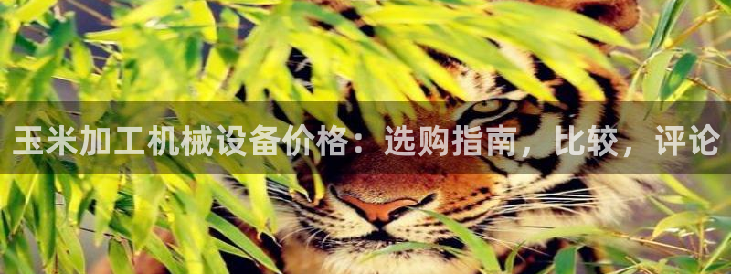 九游会不会凉