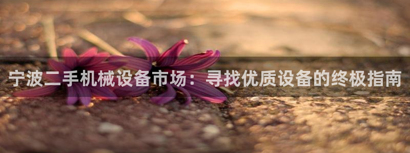 九游会上不去了：宁波