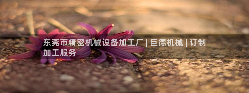 九游会网址大全
