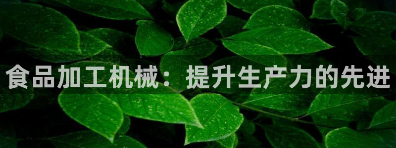 九游会AG下载手机端