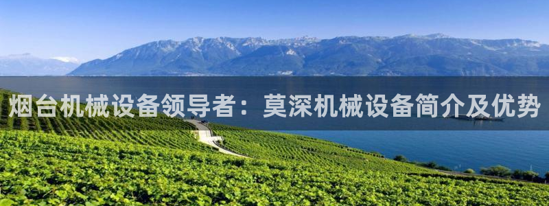 九游会官网真人认证吗