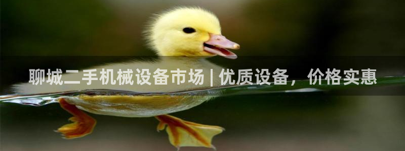 九游会网页